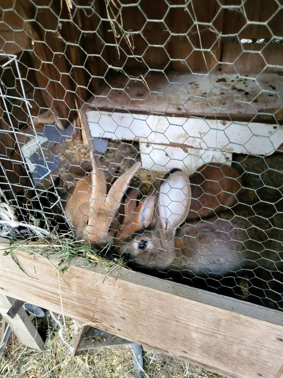 Koperkowe Rancho Beskid Wyspowy Domek Malopolskie Kamionna Kamionna  Exterior foto