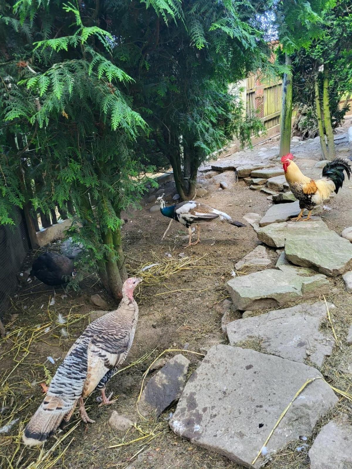 Koperkowe Rancho Beskid Wyspowy Domek Malopolskie Kamionna Kamionna  Exterior foto